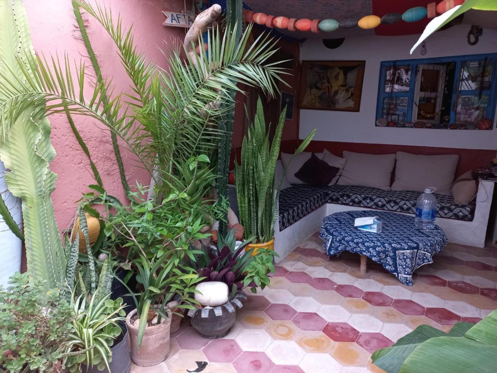 Kasba De L'Artiste Bed & Breakfast Mirleft Ngoại thất bức ảnh
